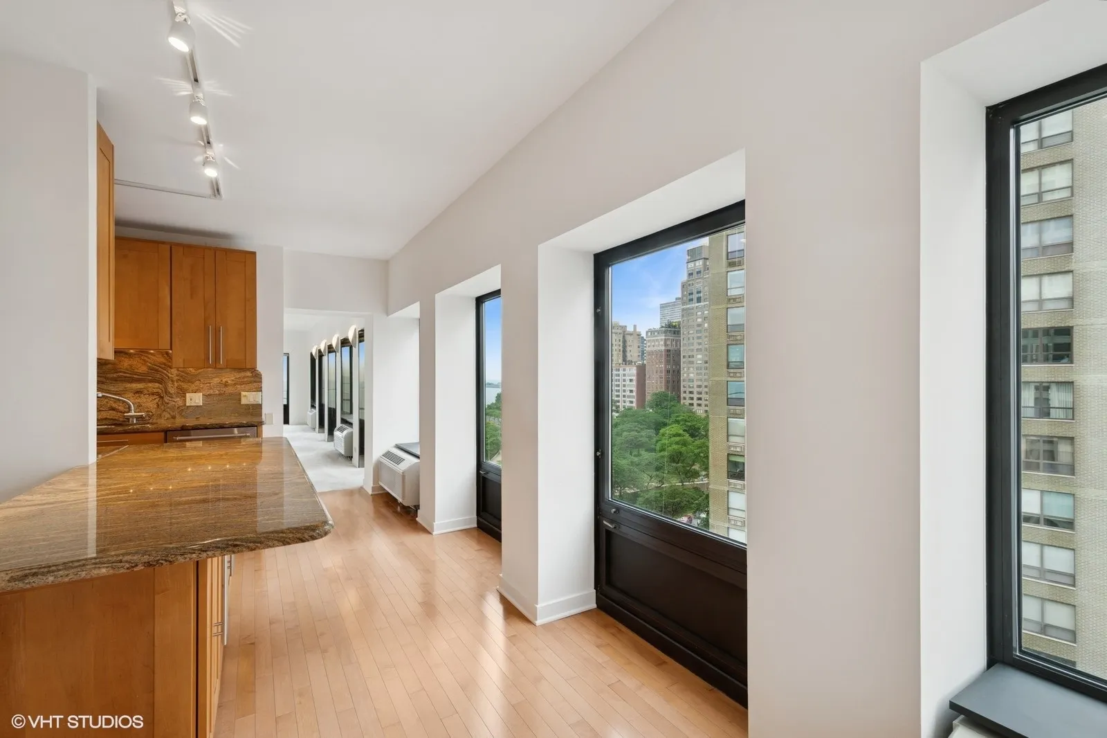 1100 N Lake Shore Drive 11B IL