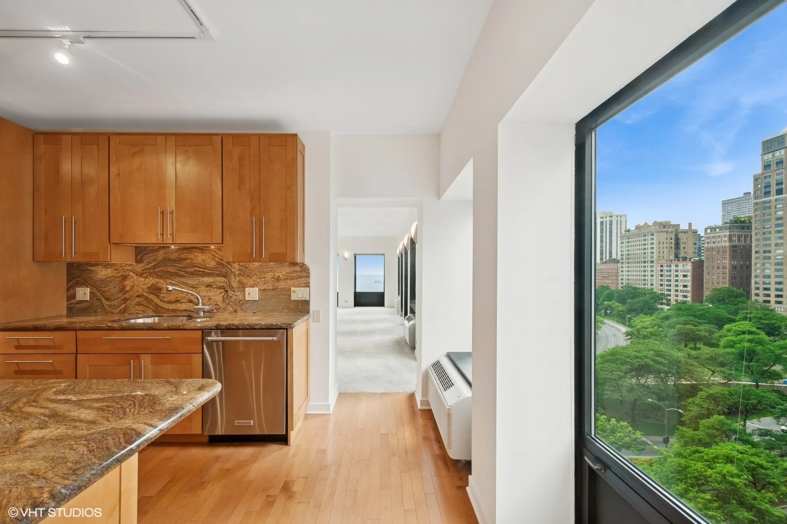 1100 N Lake Shore Drive 11B IL