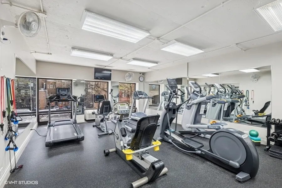 1100 N Lake Shore Drive 11B IL