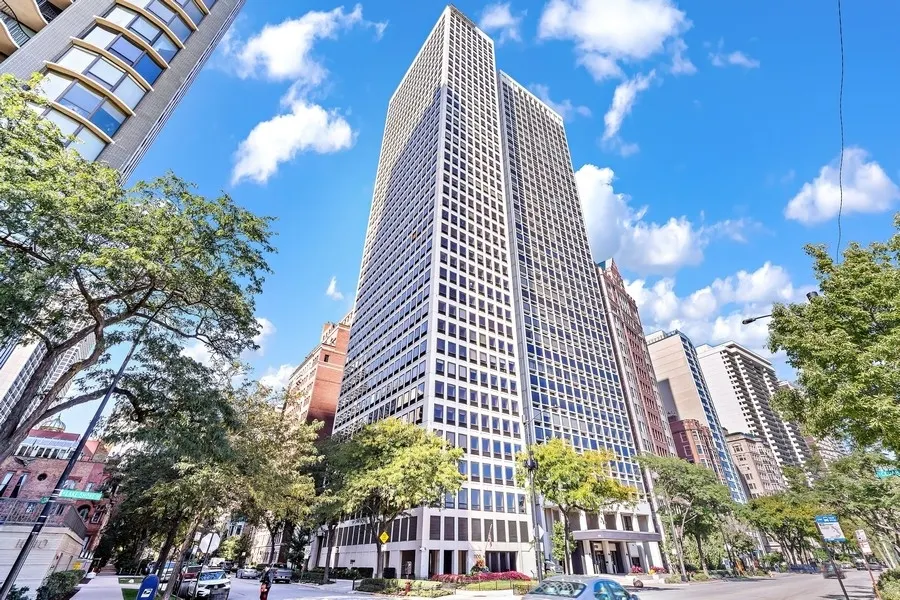 1100 N Lake Shore Drive 11B IL