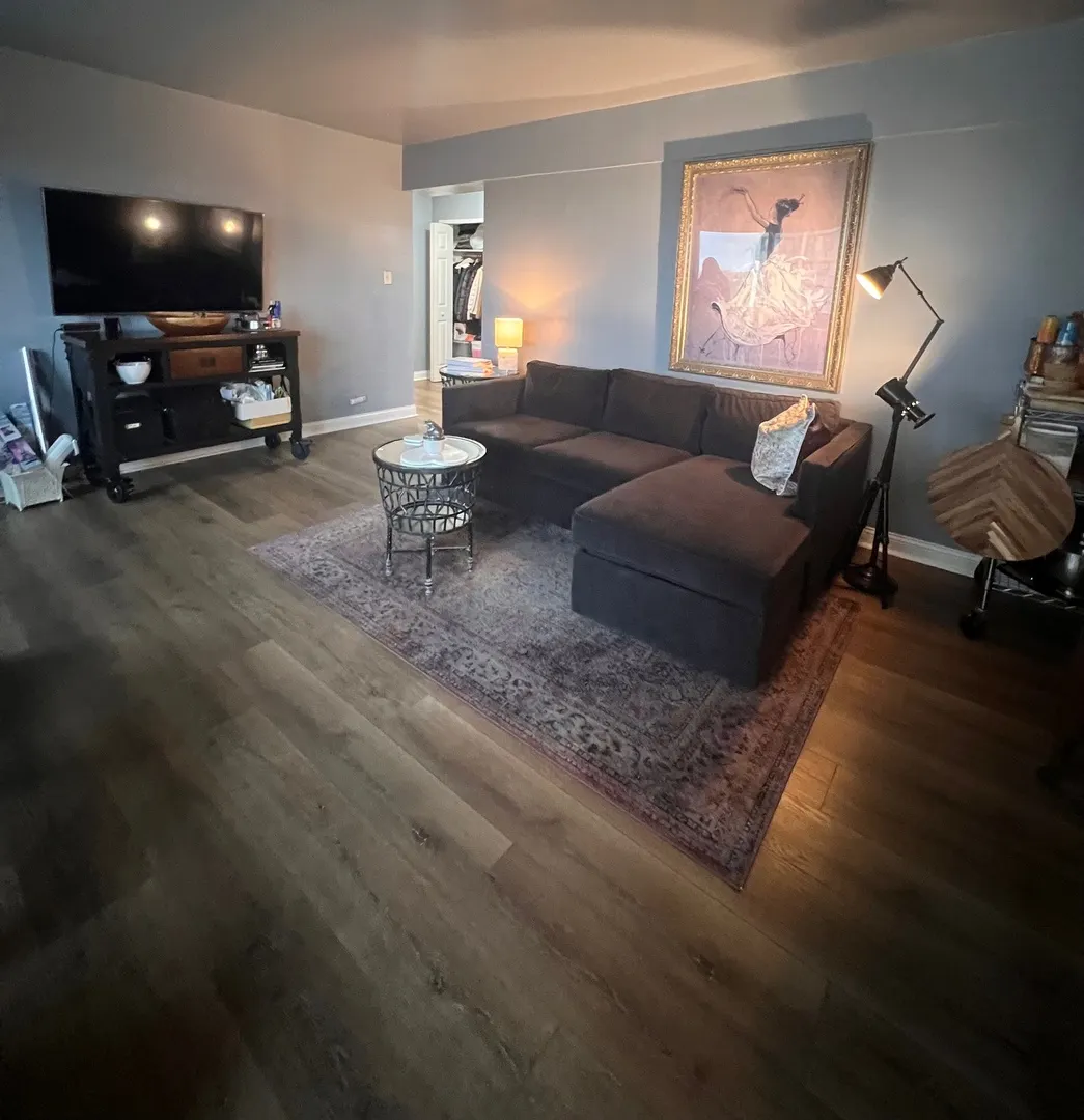 7337 S South Shore Drive 708 IL