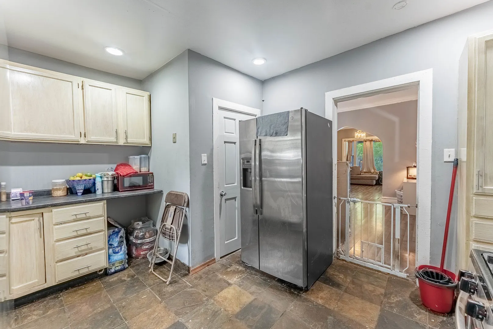 244 W 117th Street IL