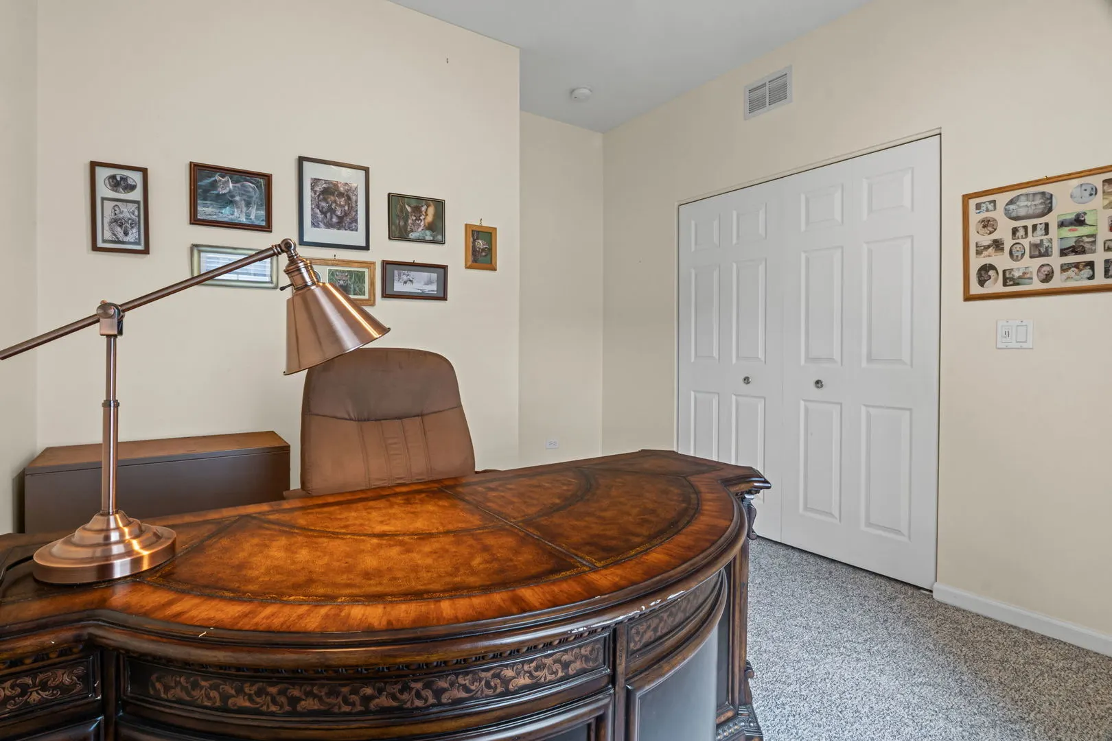 21331 W Juniper Lane IL