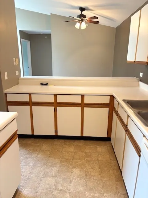 511 Leah Lane 3C IL