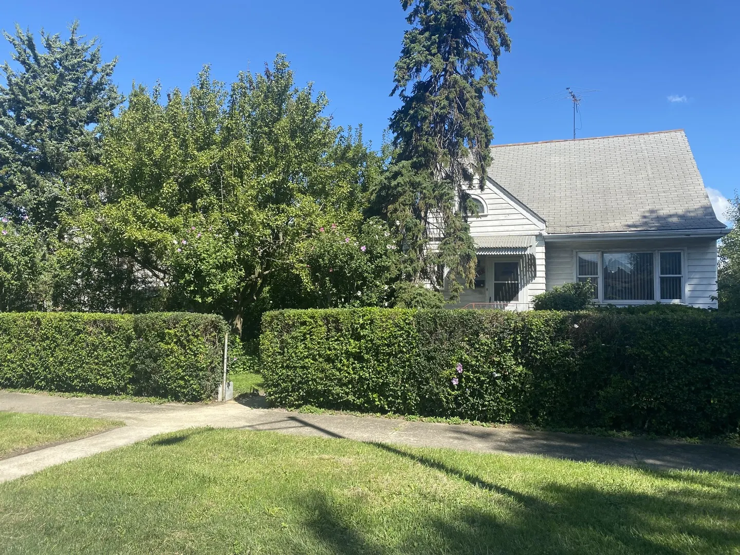 105 E 24th Street IL