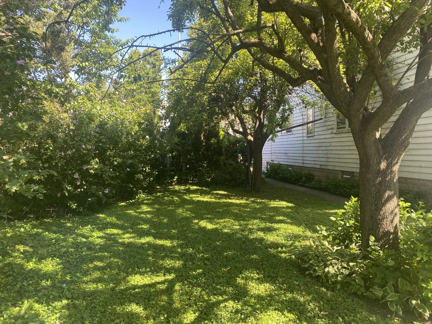 105 E 24th Street IL