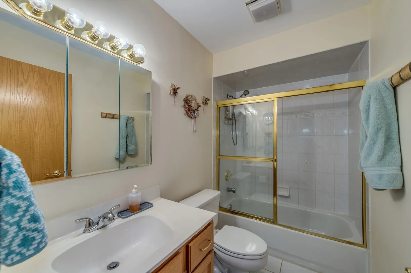 318 S Dominion Drive IL