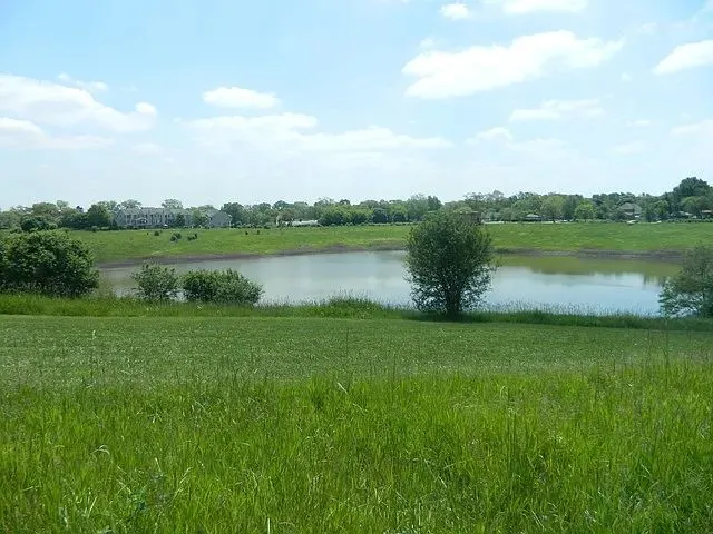 77 N Quentin Road 202 IL