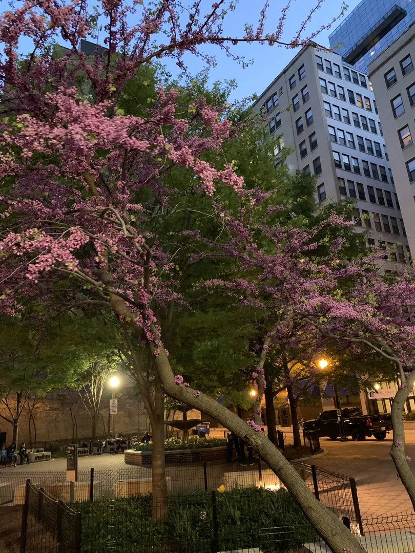 720 S Dearborn Street PH-1 IL