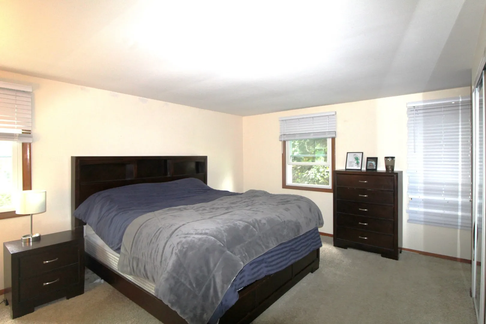 36763 N Belle Plaine Avenue IL