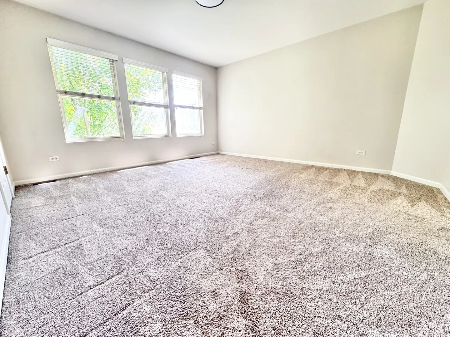 11319 Maplewood Drive IL