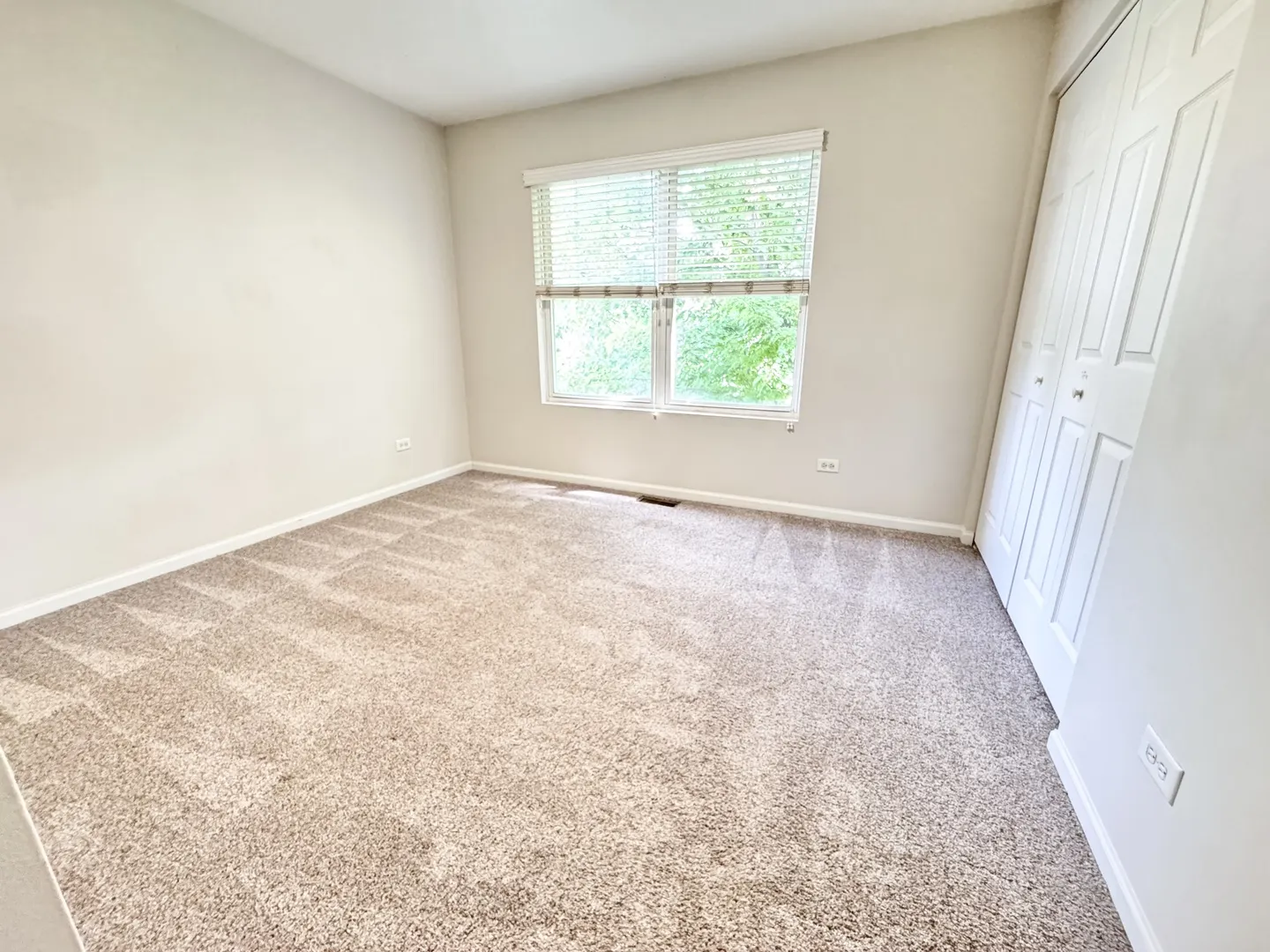 11319 Maplewood Drive IL
