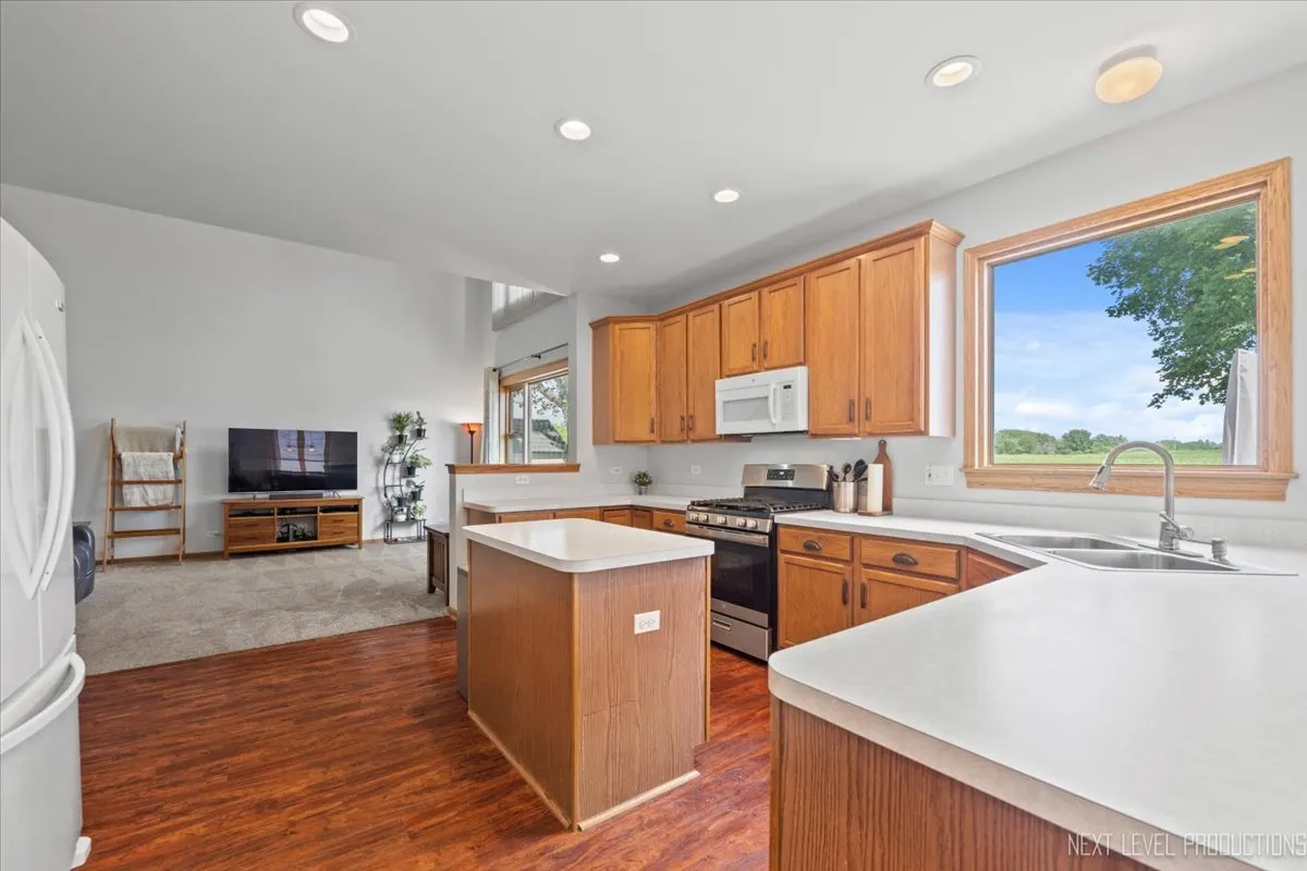 209 Somerset Drive IL