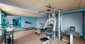 7337 S South Shore Drive 514 IL
