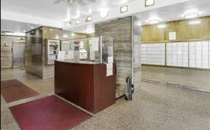 7337 S South Shore Drive 514 IL