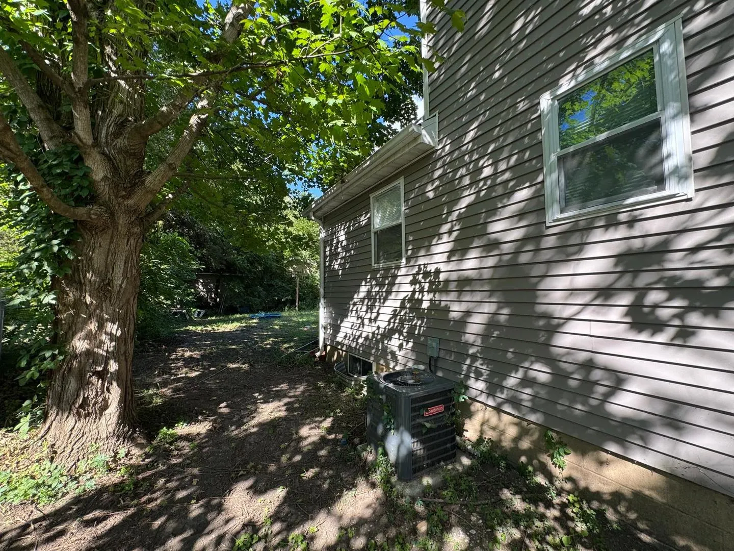 1260 E Bluff Street IL