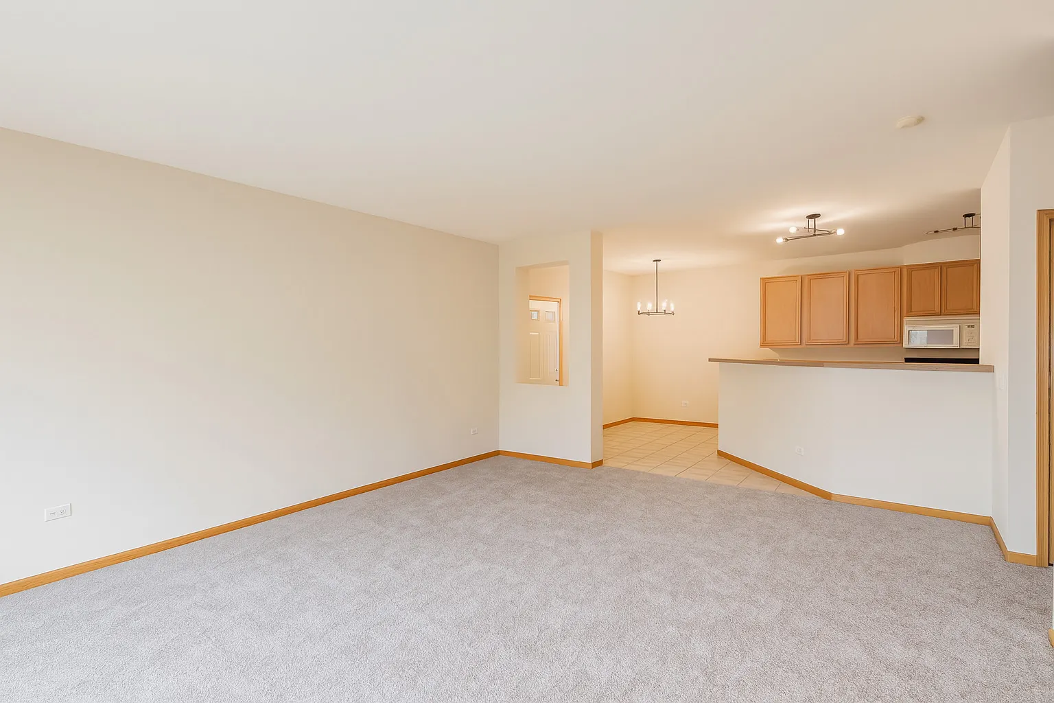 9018 CONCORD Lane 5B-720 IL