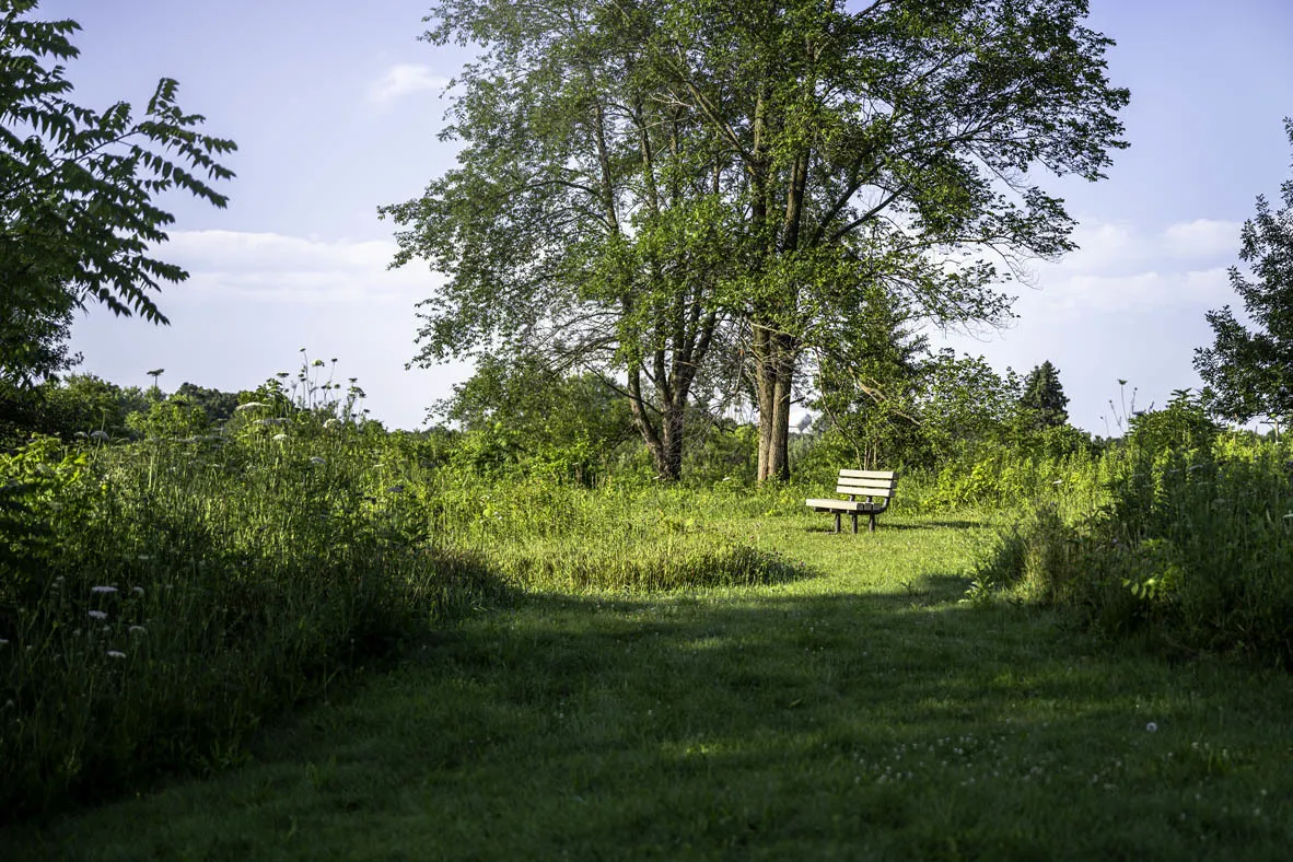1451 Oakfield Lane IL