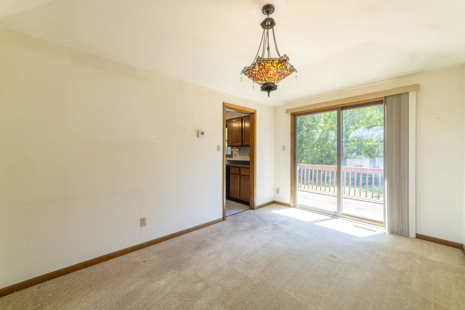 10046 Polk Court IN