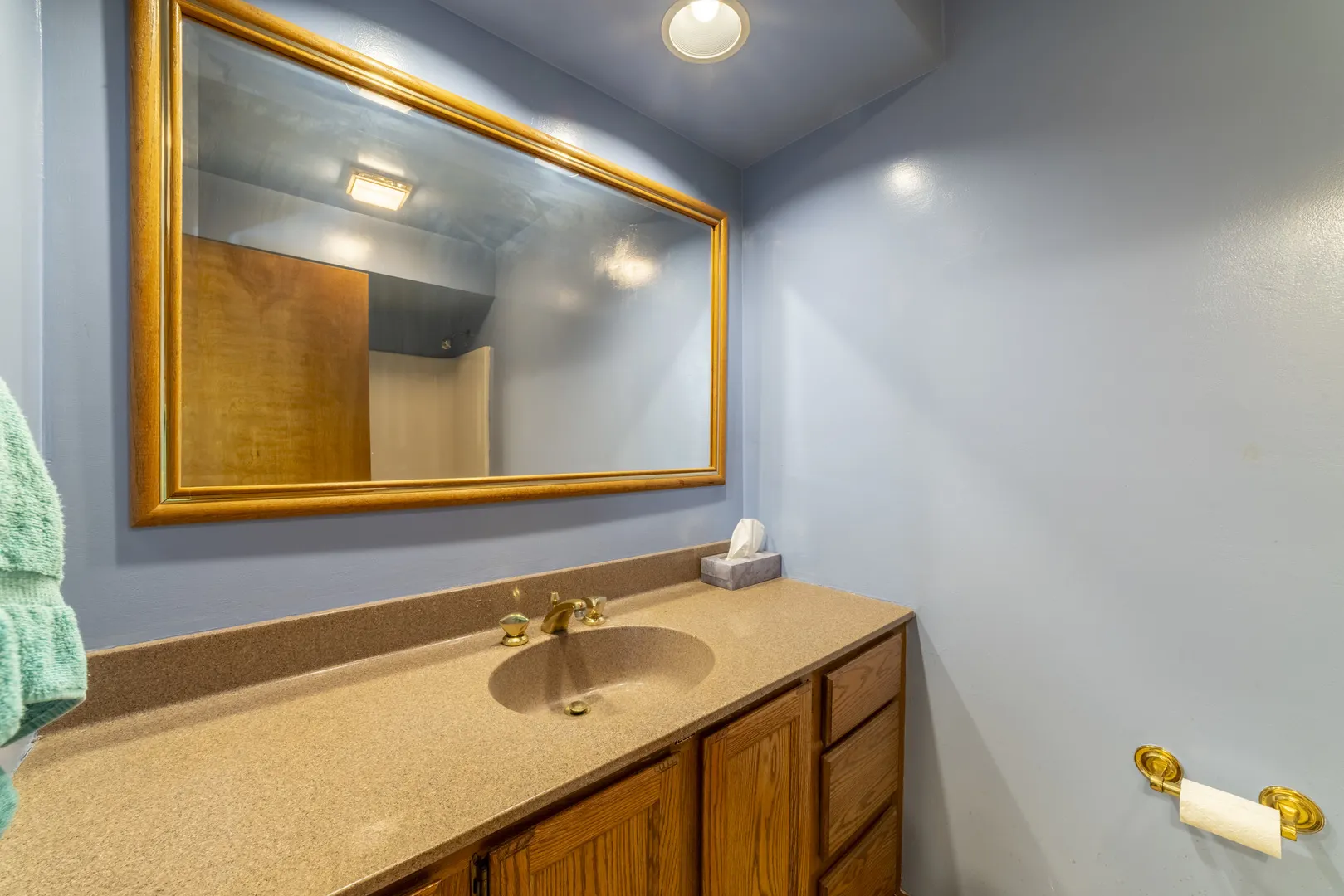 10046 Polk Court IN