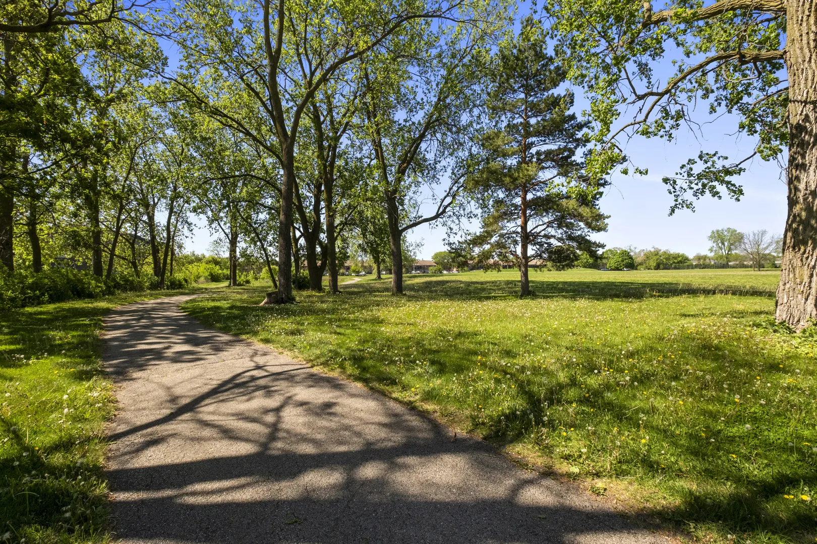 974 Crabapple Drive 308 IL