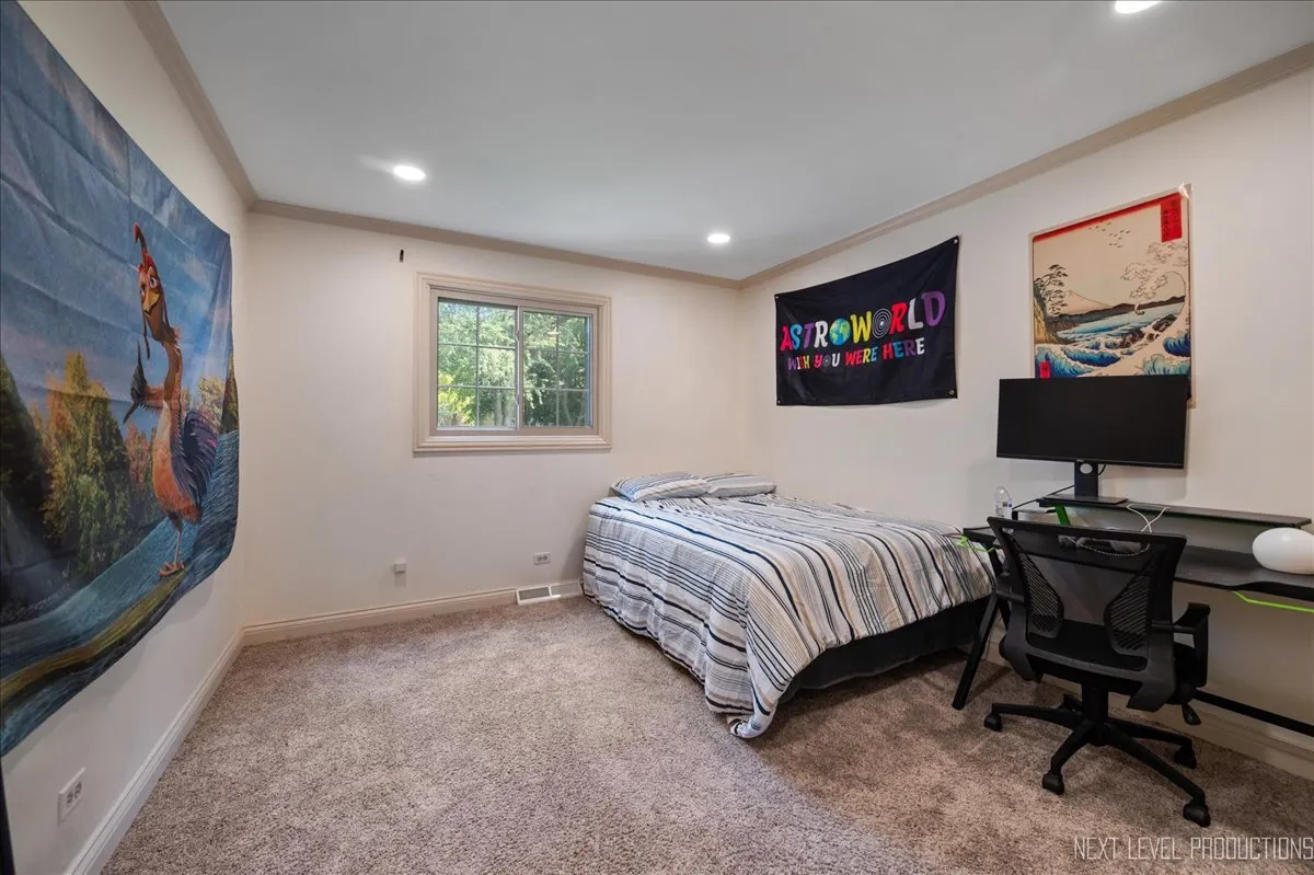 24106 W Pheasant Chase Drive IL