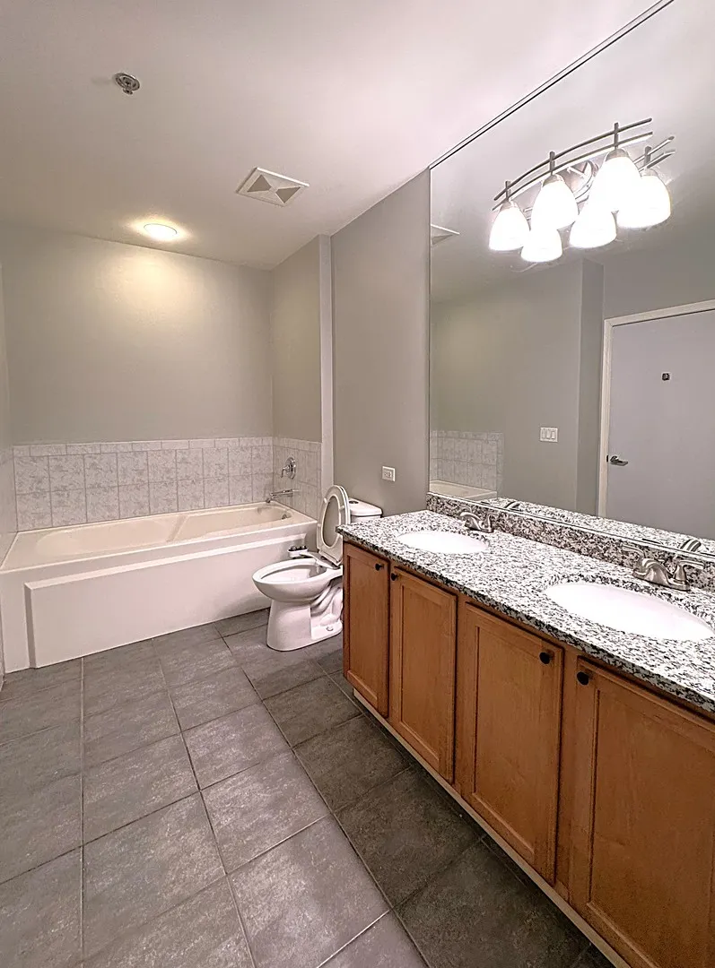 1322 S PRAIRIE Avenue 1705 IL