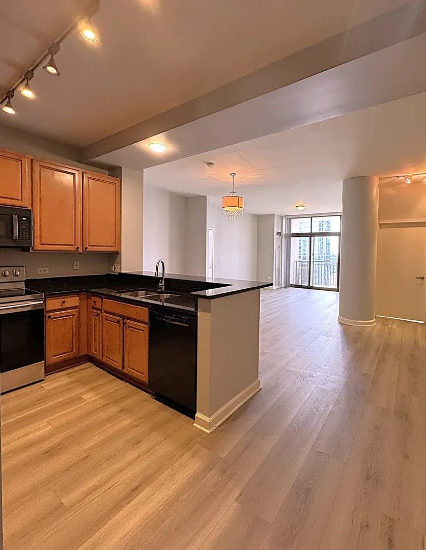 1322 S PRAIRIE Avenue 1705 IL