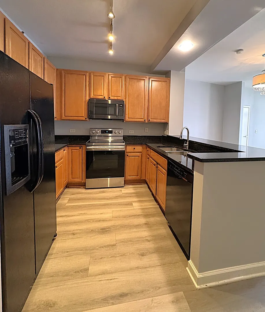 1322 S PRAIRIE Avenue 1705 IL