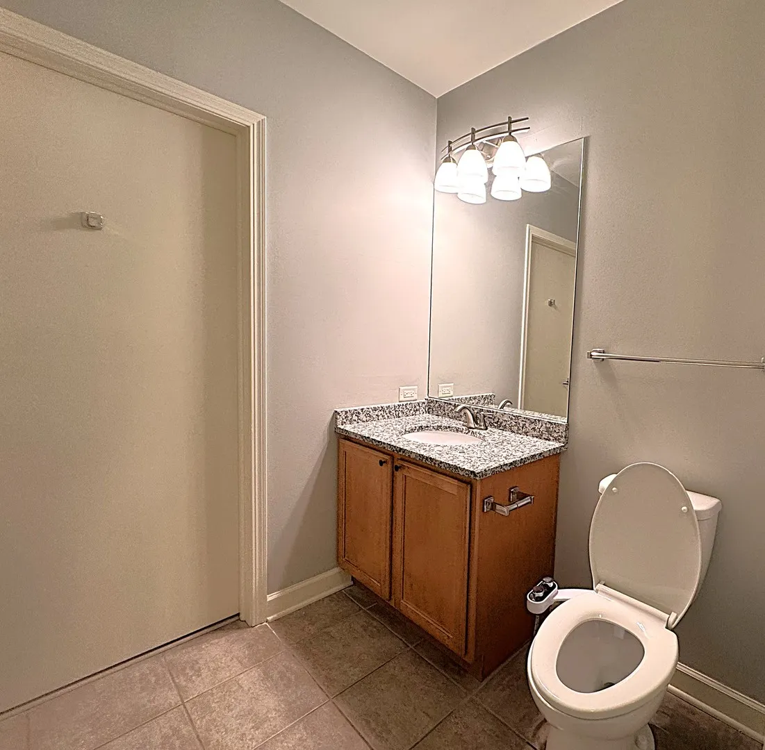 1322 S PRAIRIE Avenue 1705 IL