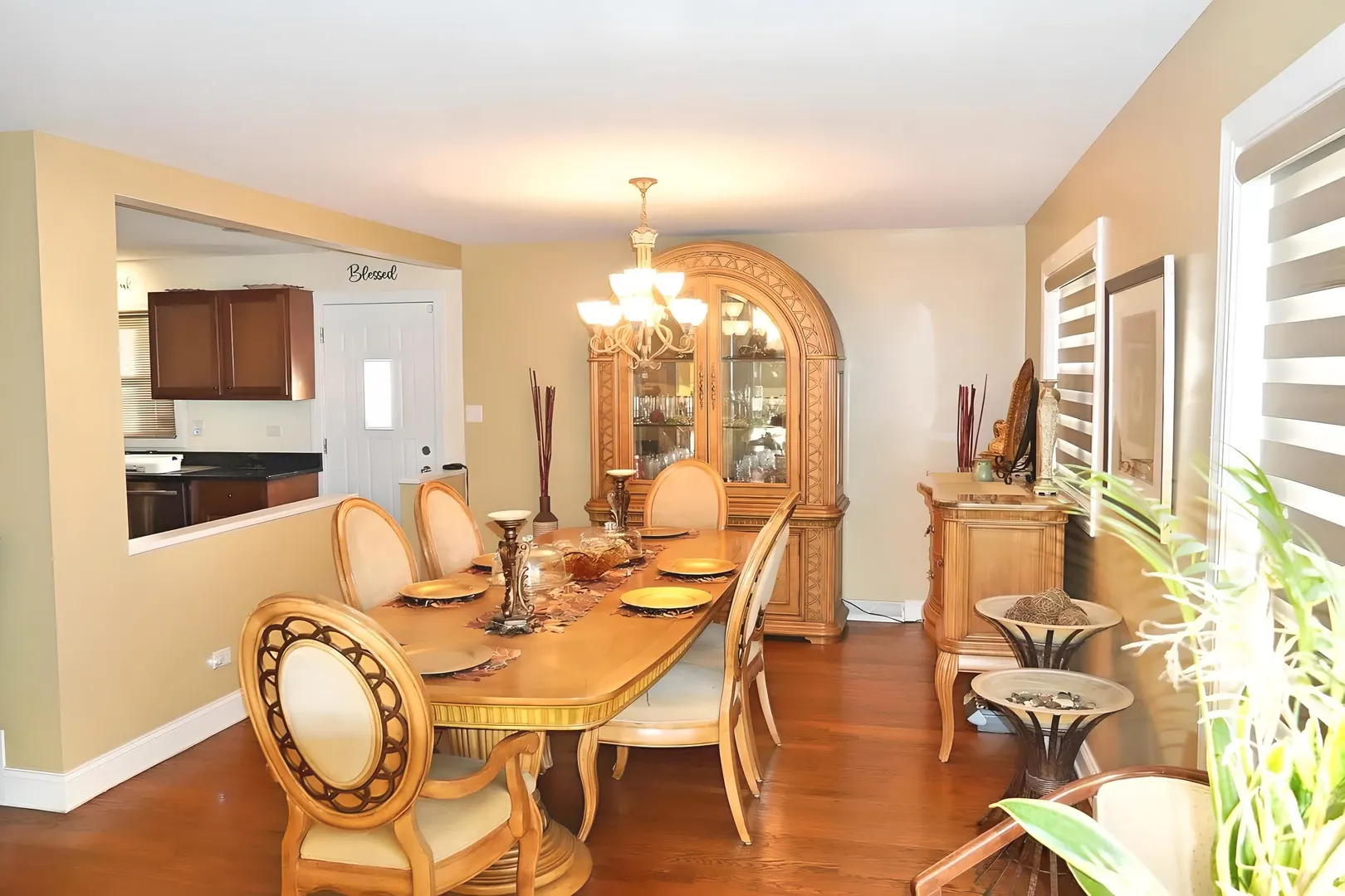 223 W Rainbow Drive IL