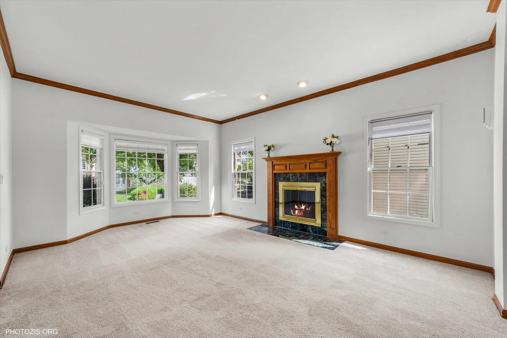 1456 Della Drive IL