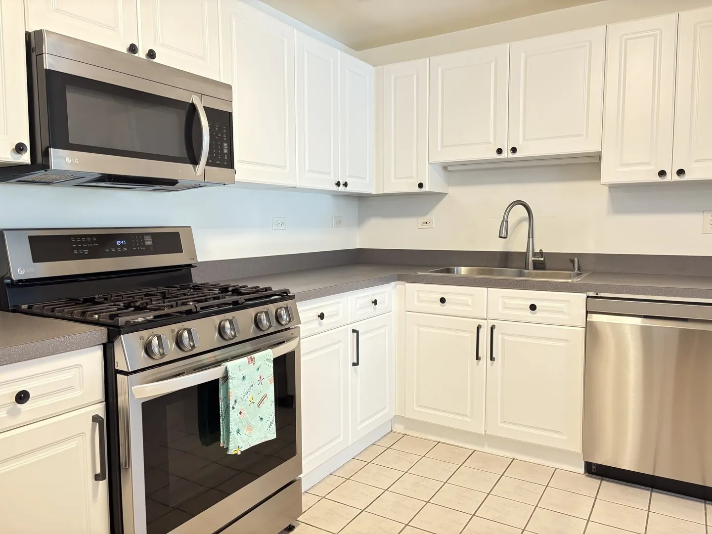 875 E 22nd Street 204 IL