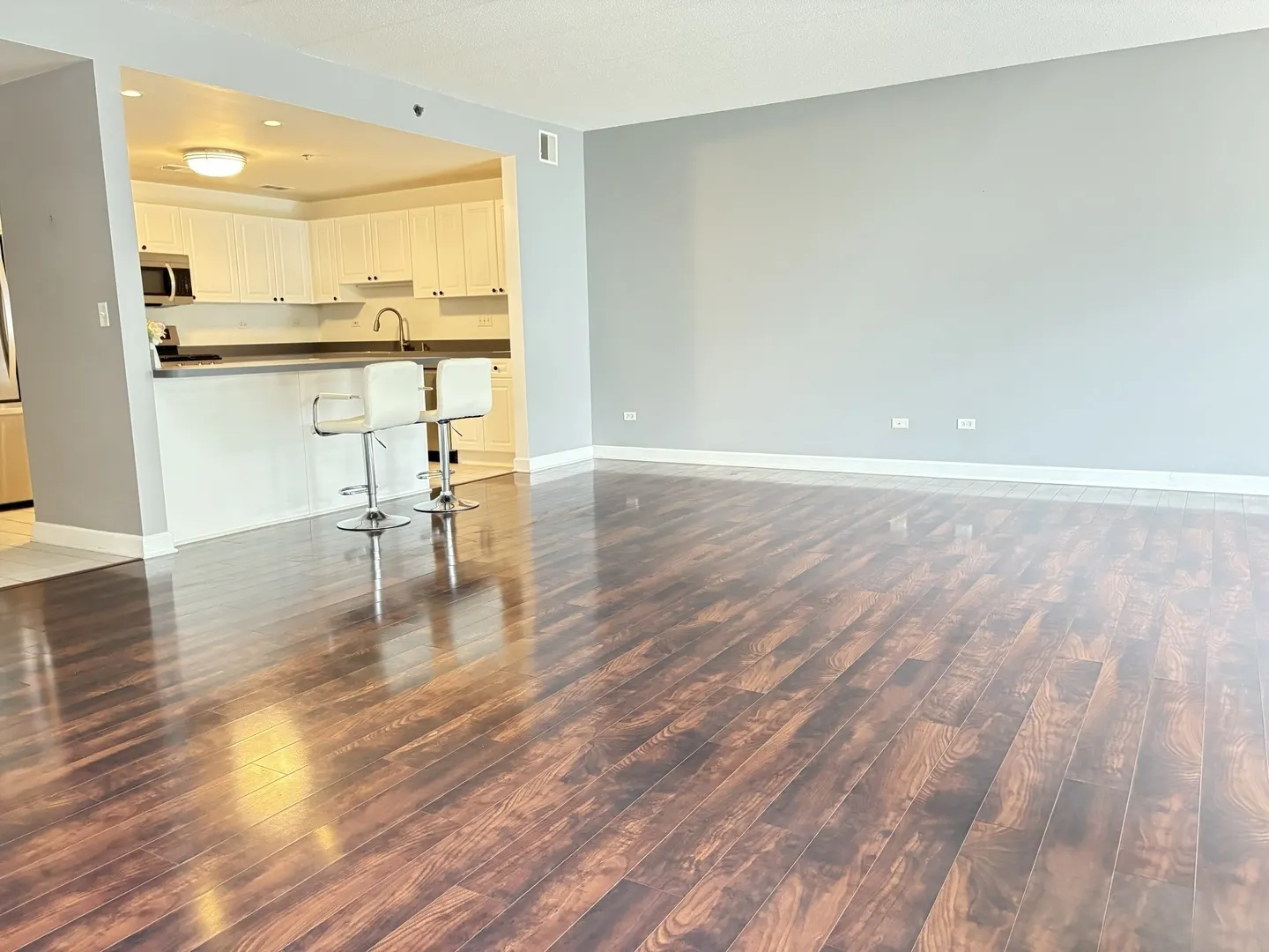 875 E 22nd Street 204 IL