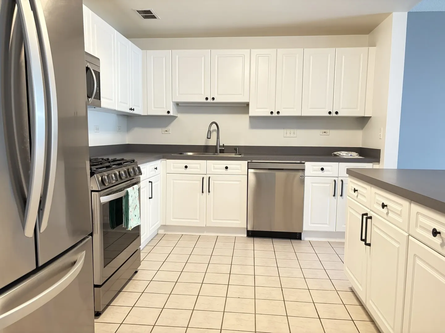 875 E 22nd Street 204 IL