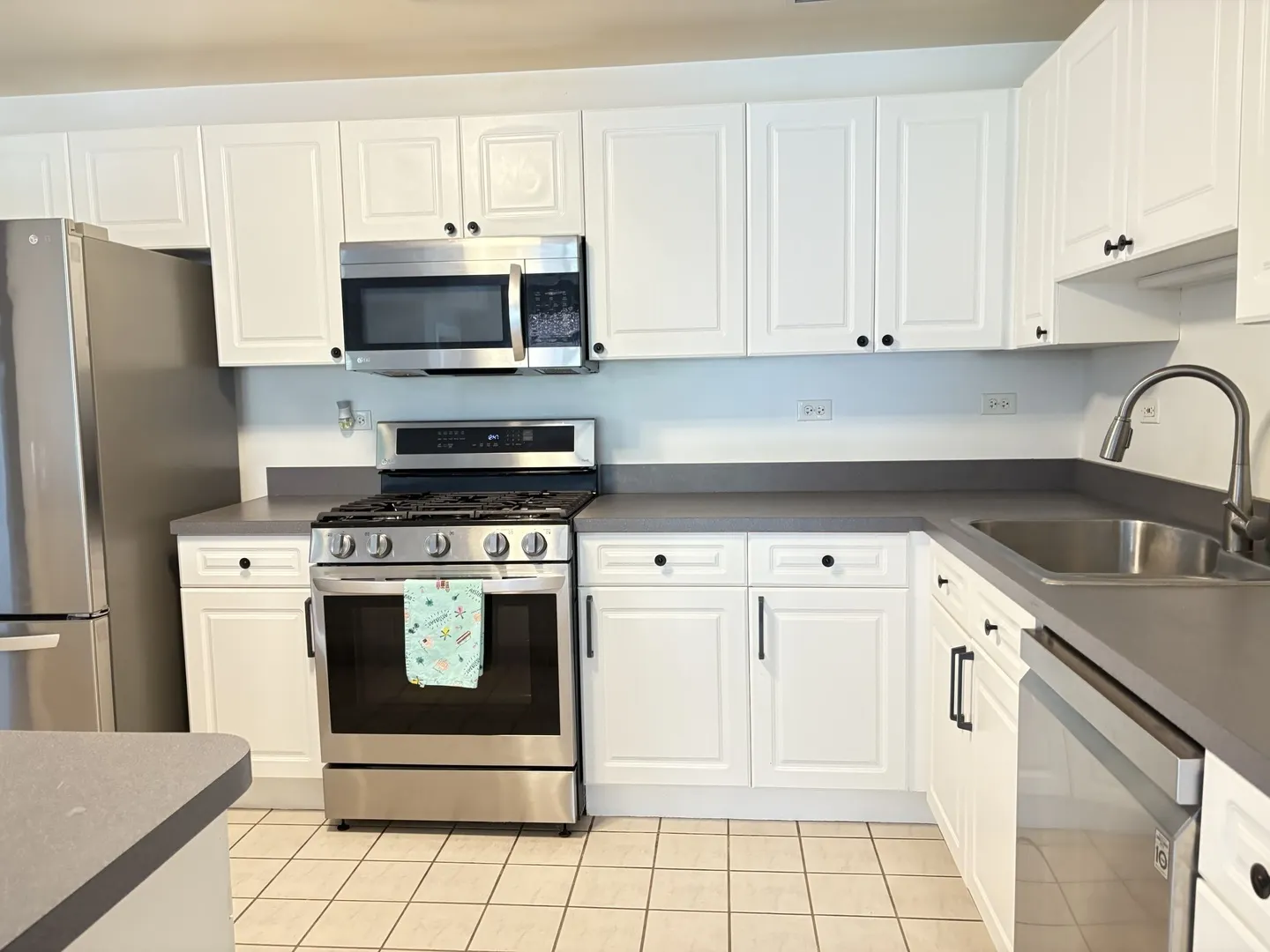 875 E 22nd Street 204 IL