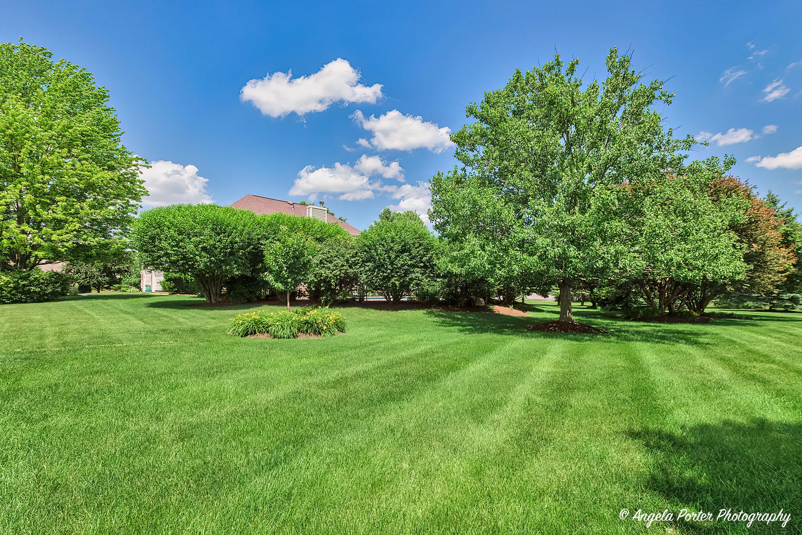 6805 Burning Tree Circle IL