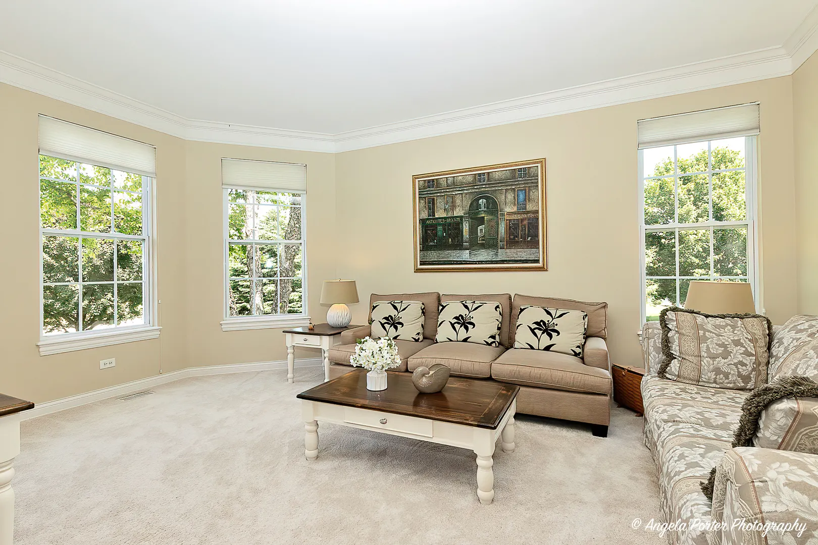 6805 Burning Tree Circle IL