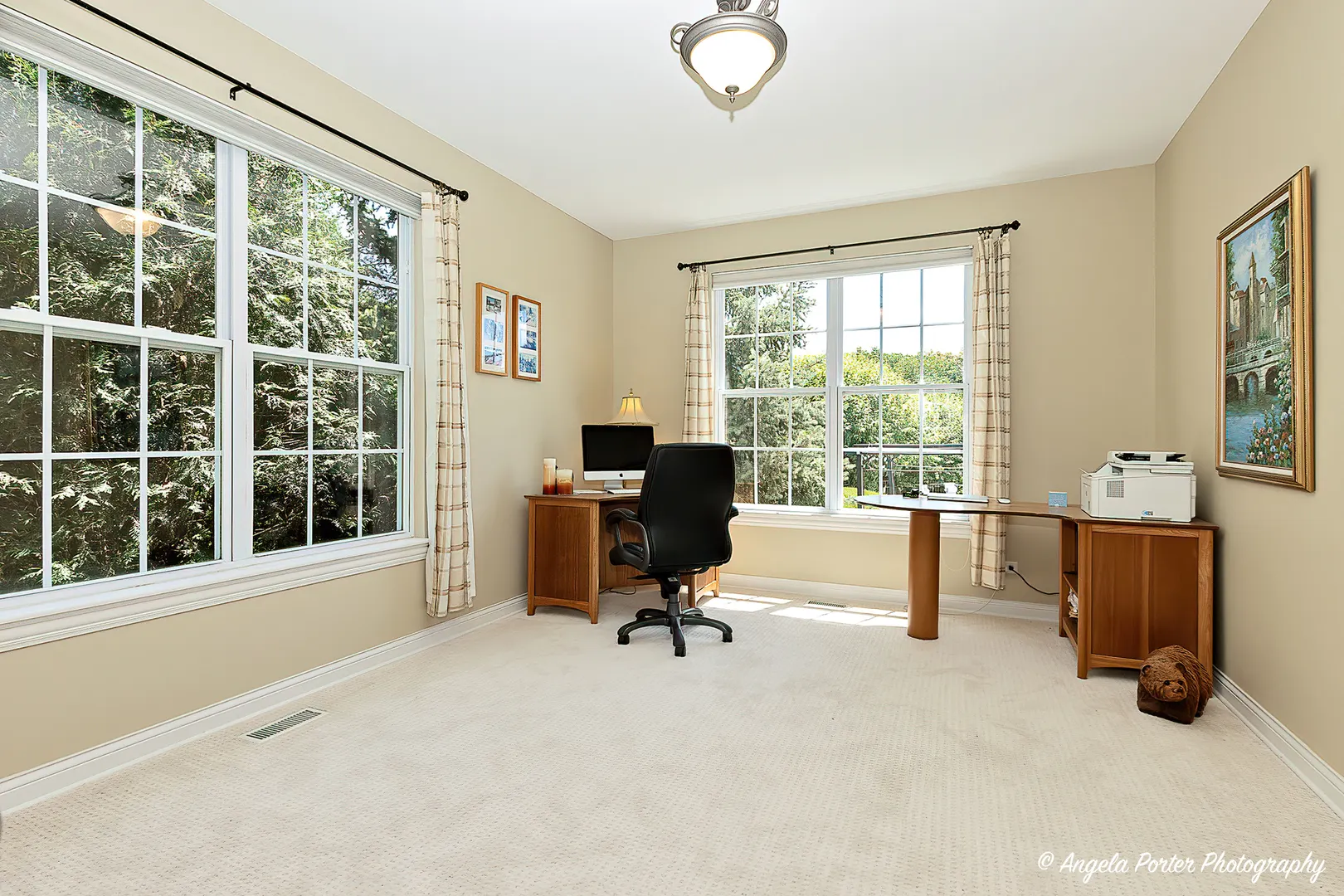 6805 Burning Tree Circle IL
