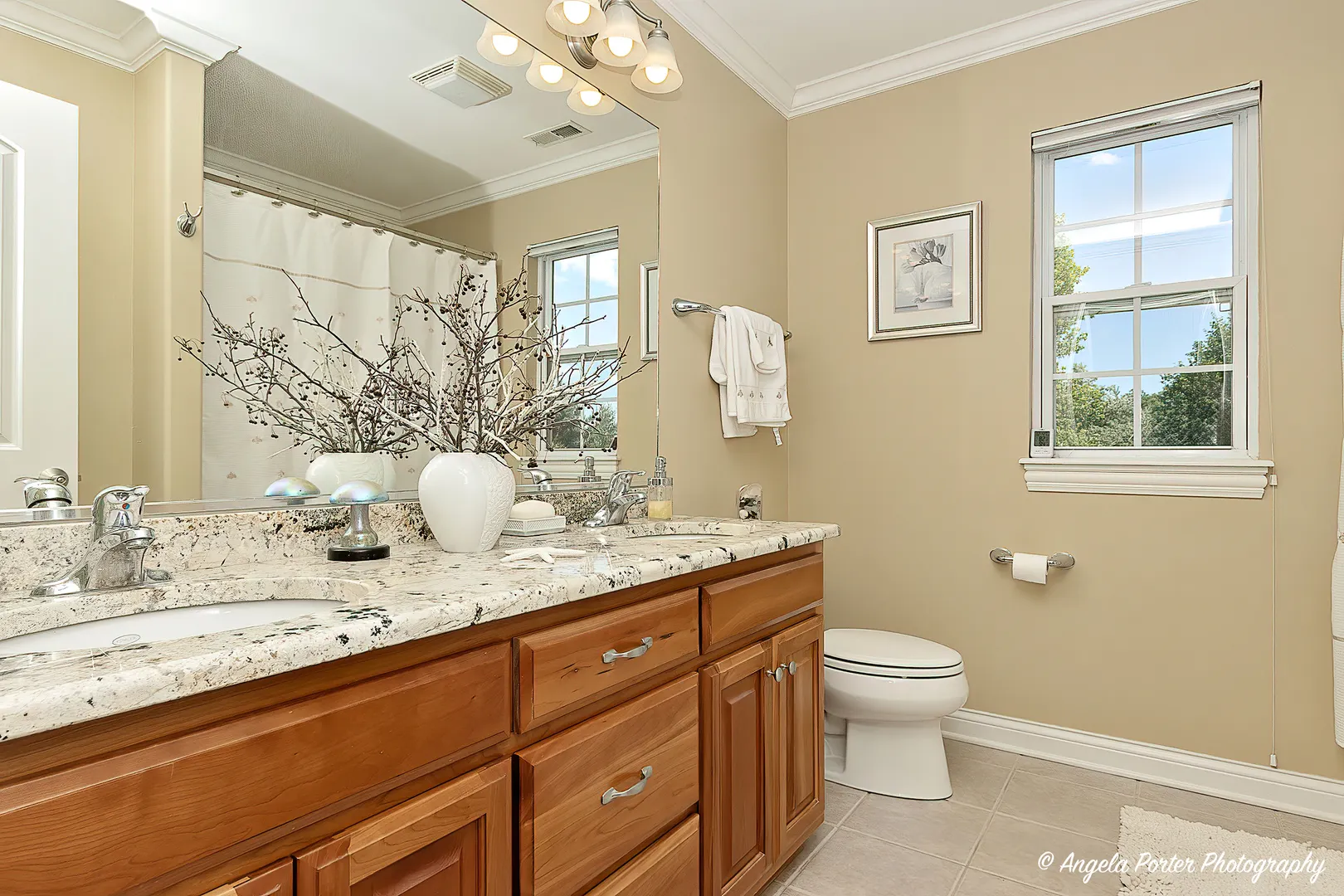 6805 Burning Tree Circle IL