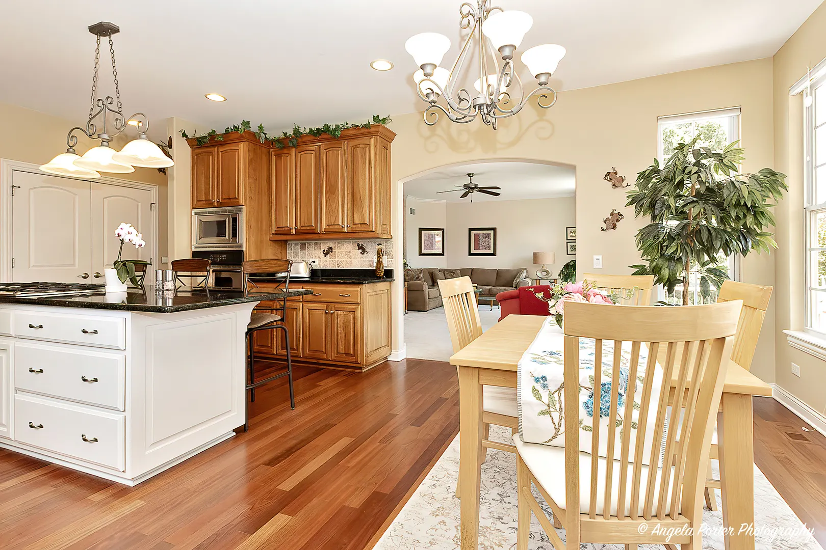 6805 Burning Tree Circle IL