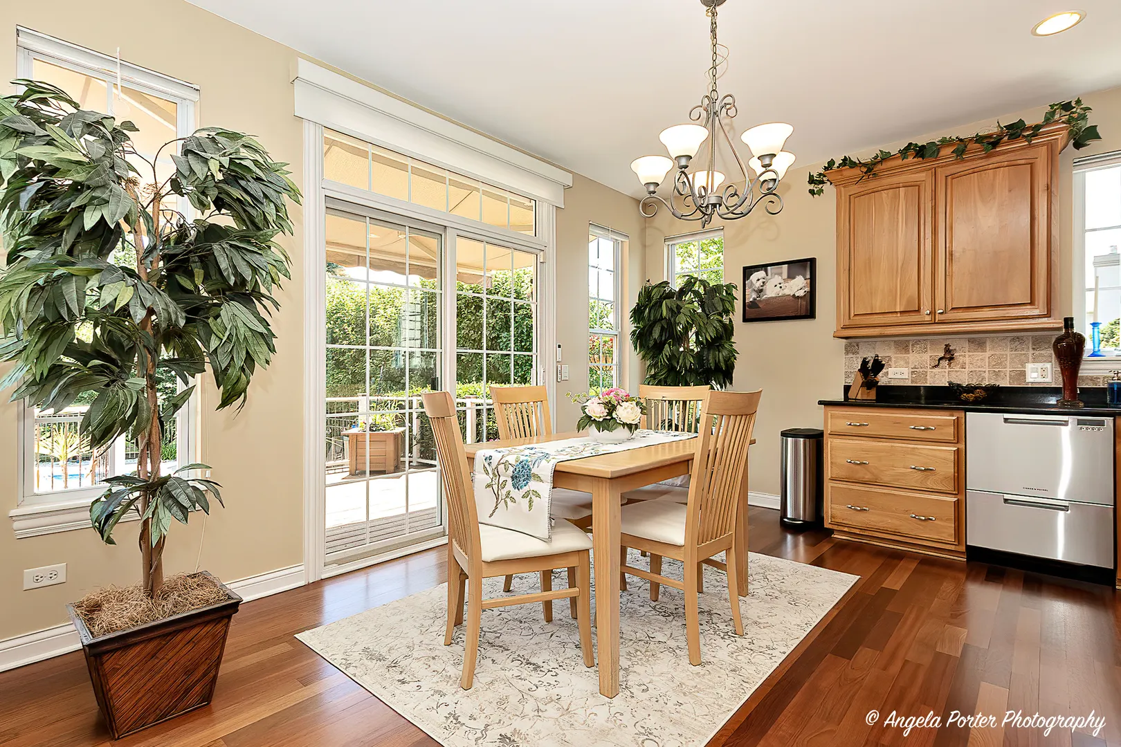 6805 Burning Tree Circle IL