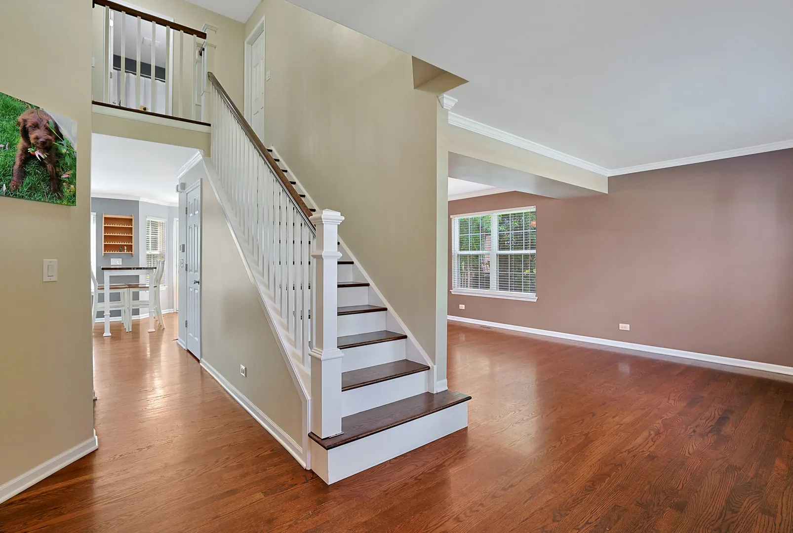 9562 Bristol Lane IL