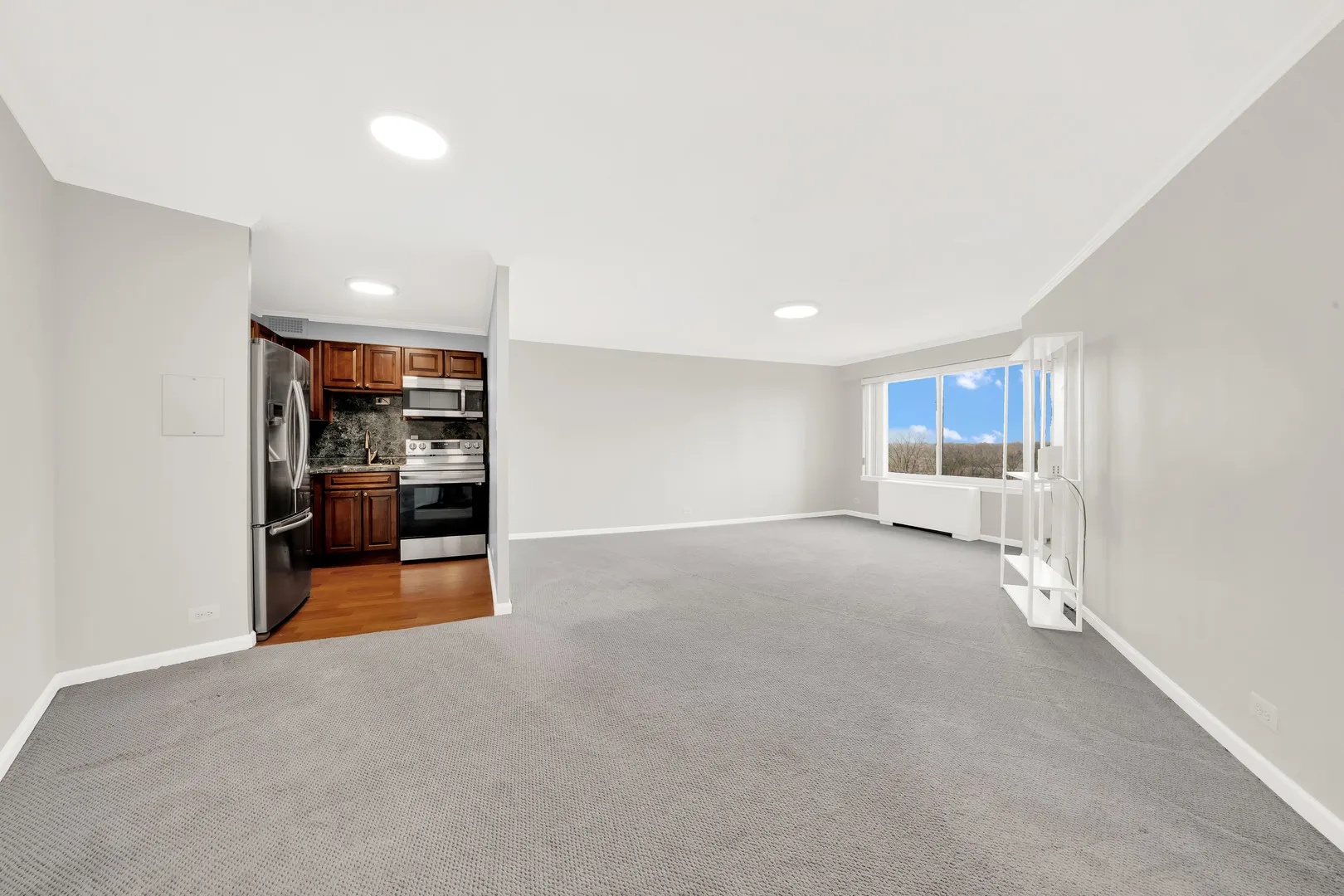 6833 N Kedzie Avenue 709 IL