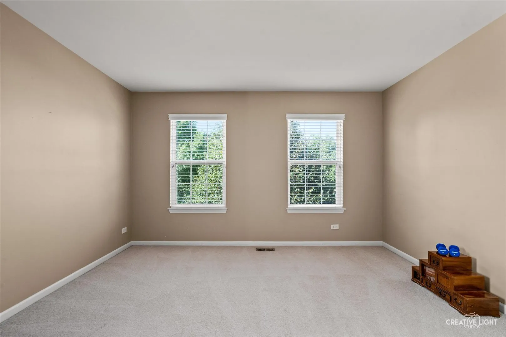 1658 Star Grass Circle IL