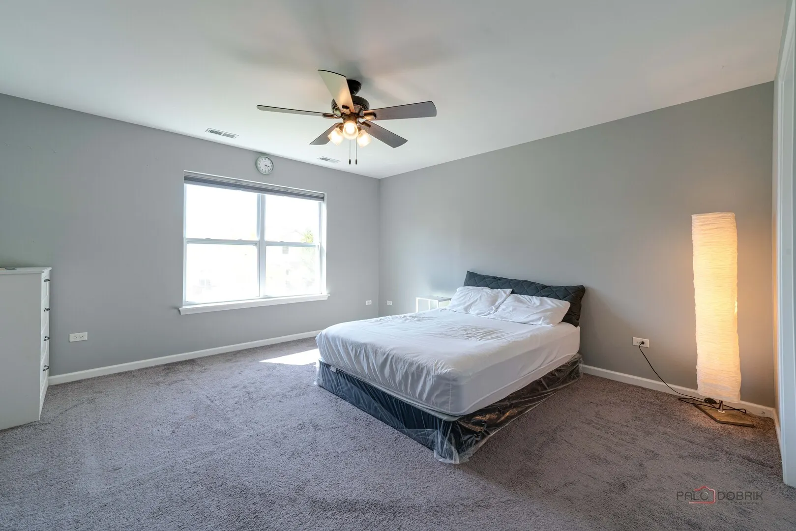 2366 N Newberry Lane IL