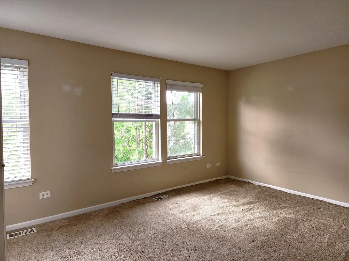 570 Collier Drive IL
