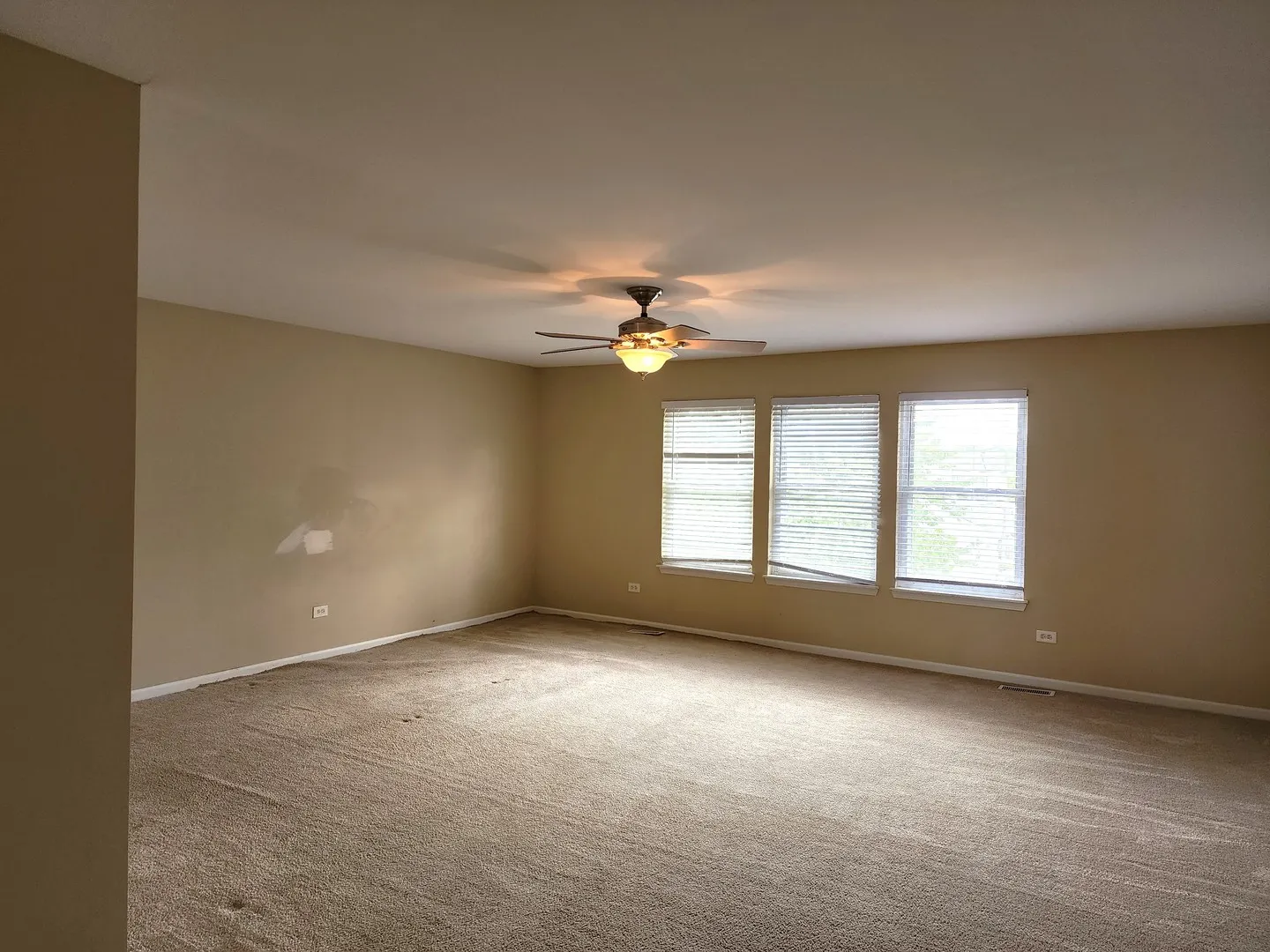 570 Collier Drive IL