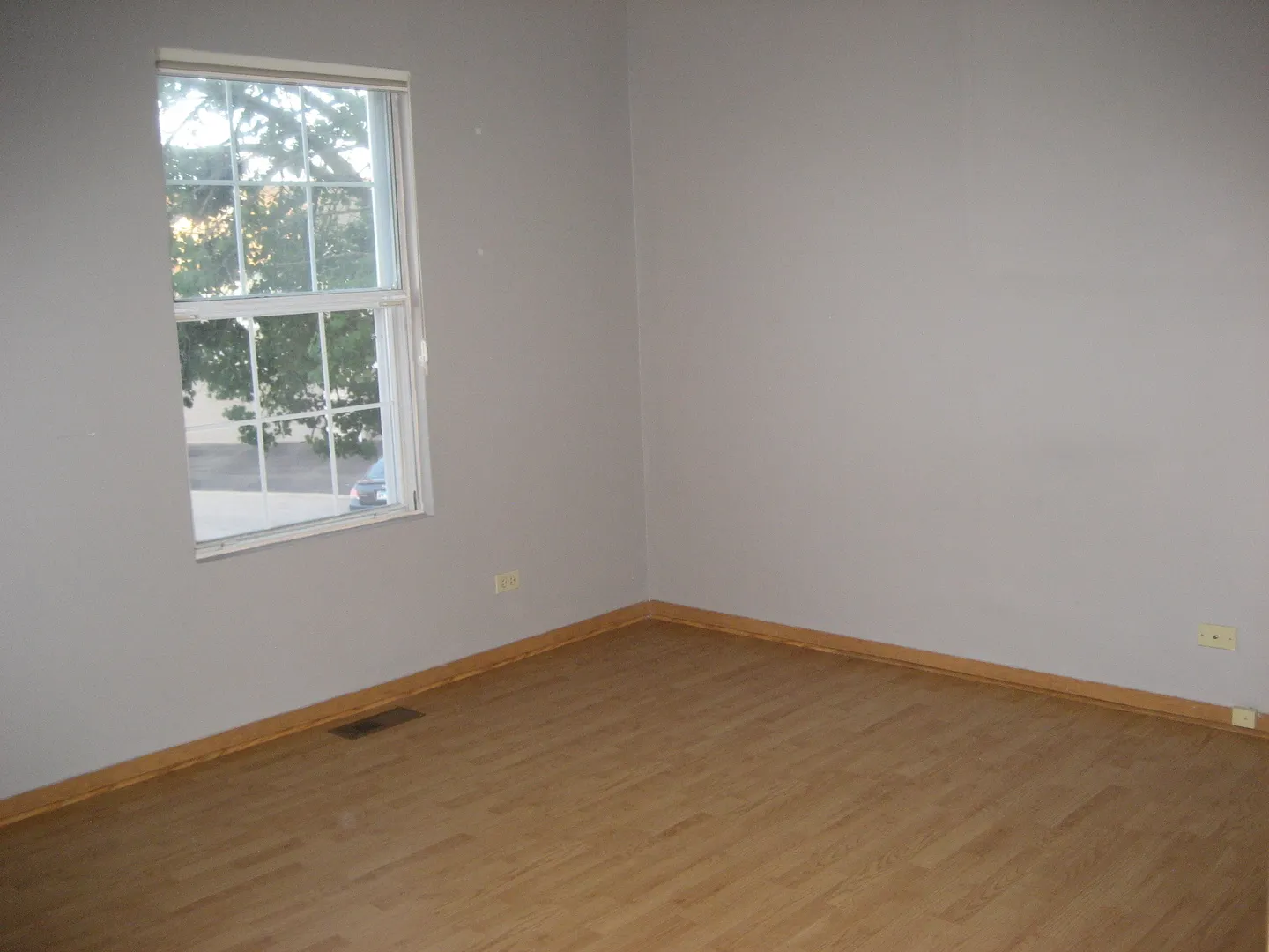 294 Le Parc Circle IL