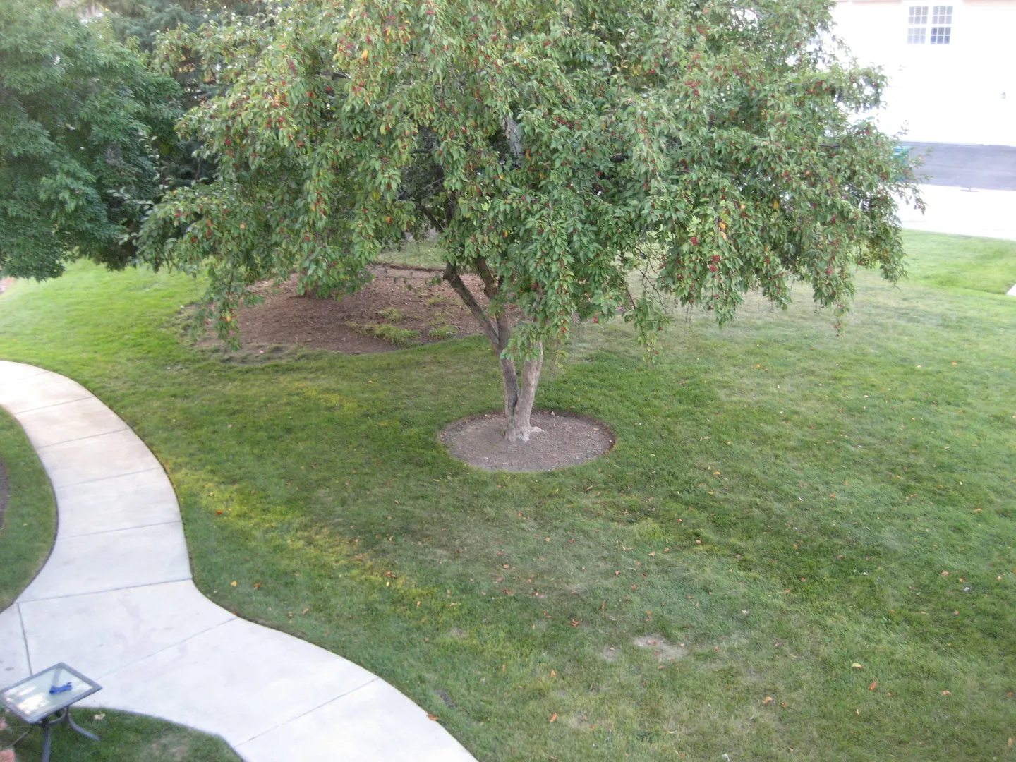 294 Le Parc Circle IL